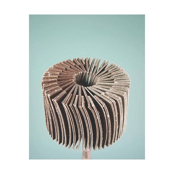 ミニター ミニモ ラジアルサンダー ボトム#240 φ60 EA1613 1本 853-0011（直送品）