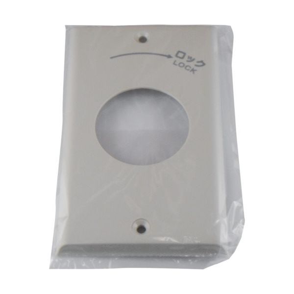 アメリカン電機 エンプラプレート 引掛大穴1ケ用 P:101 1161N 1枚 850-1062（直送品）