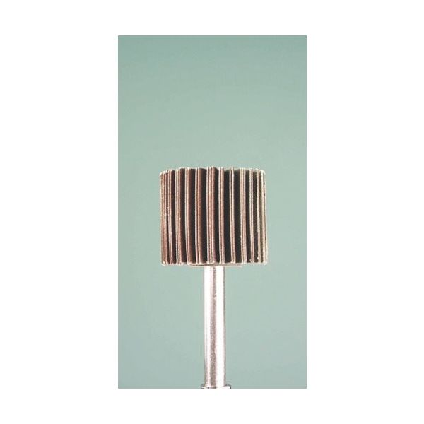 ミニター ミニモ ラジアルサンダー#240 φ30 EA1313 1本 852-9986（直送品）