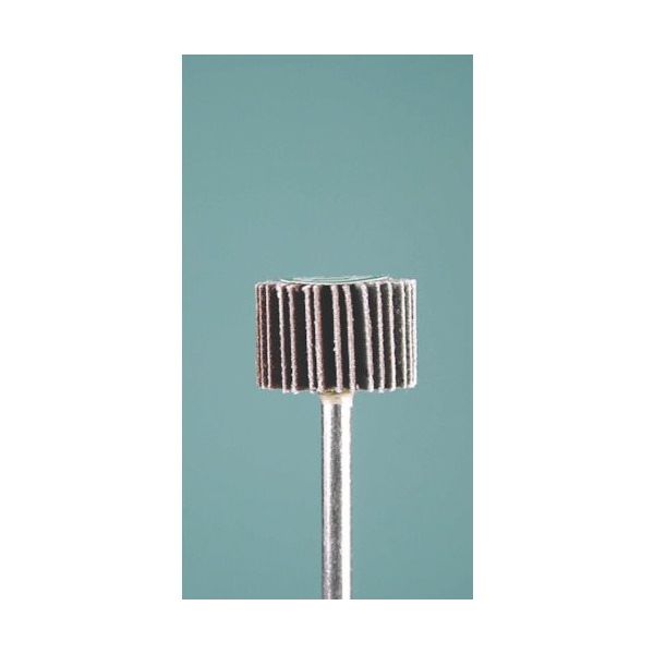 ミニター ミニモ ラジアルサンダー#240 φ15 (3本入) EA1114 1袋(3本) 852-9936（直送品）