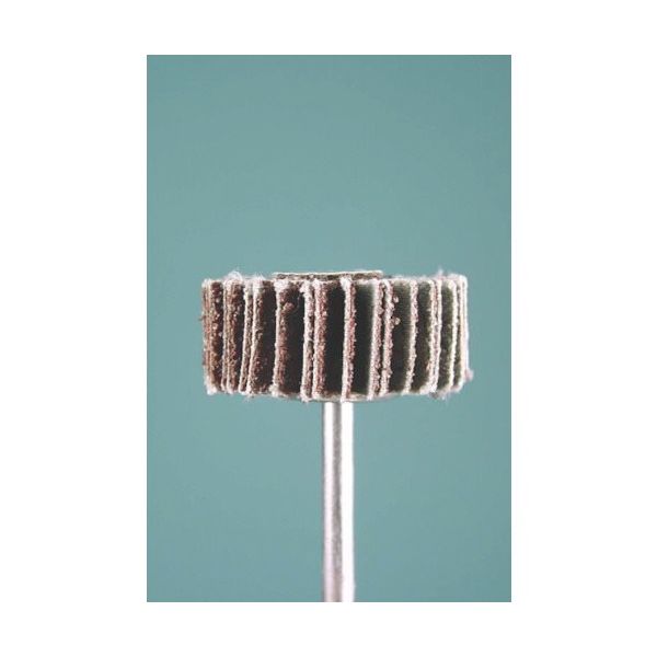 ミニター ミニモ ラジアルサンダー#60 φ25 (3本入) EA1131 1袋(3本) 852-9945（直送品）