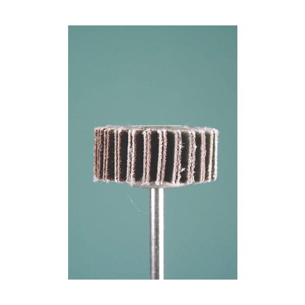 ミニター ミニモ ラジアルサンダー#80 φ25 (3本入) EA1132 1袋(3本) 852-9946（直送品）