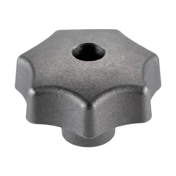 ロームヘルド・ハルダー HALDER スターグリップ DIN6336 鋳鉄 形状B 24650.0150 1個 105-5463（直送品）