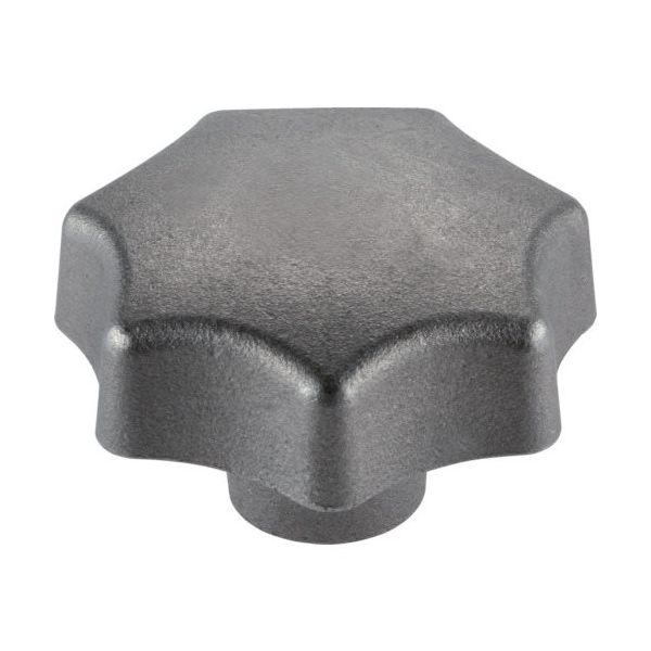 ロームヘルド・ハルダー HALDER スターグリップ DIN6336 鋳鉄 形状C 24650.0240 1個 107-8790（直送品）