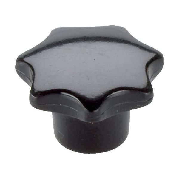 ロームヘルド・ハルダー HALDER スターグリップ DIN6336 プラスチック 形状K スチール 24670.0263 1個（直送品）