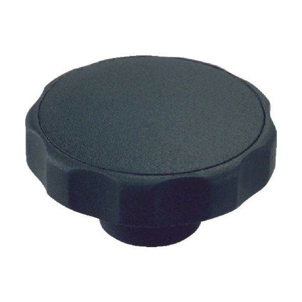 ロームヘルド・ハルダー HALDER スターグリップ プラスチック 黒 24750.0060 1個 107-2917（直送品）