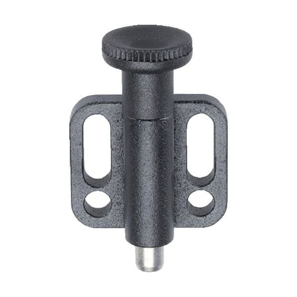 ロームヘルド・ハルダー HALDER インデックスボルト 水平カラー付 ノブ付 ホールド機構なし 22110.0325 1個（直送品）