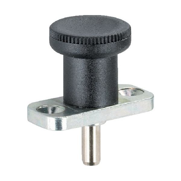 ロームヘルド・ハルダー HALDER インデックスボルト カラー付 ホールド機構無 ステンレス鋼 22120.0968 1個（直送品）