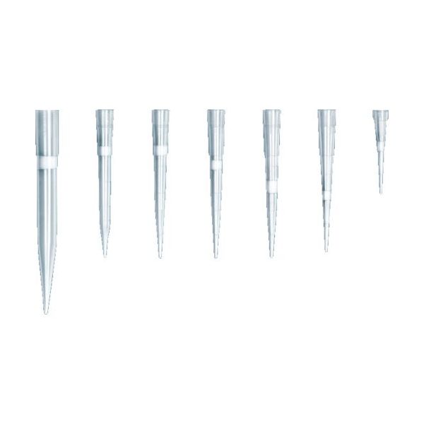 TARSONS ラック入りフィルターチップ(滅菌済) PP製 300μl 目盛付 528105 1袋(960個) 174-8035（直送品）