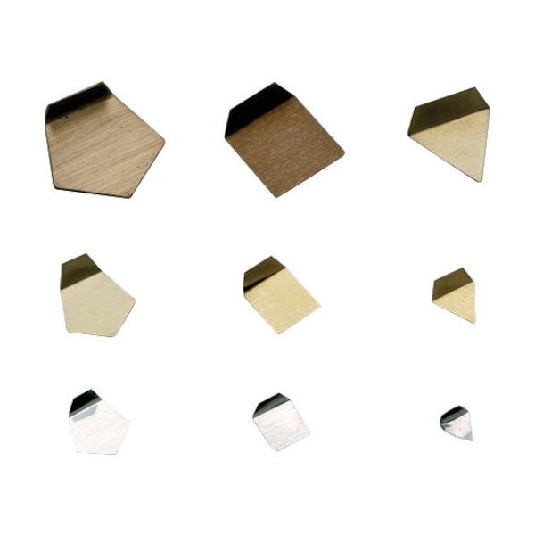 新光電子 ViBRA F2PSOー10M:板状分銅 OIML型(非磁性ステンレス) 10MG F2級 F2PSO-10M 1個（直送品）