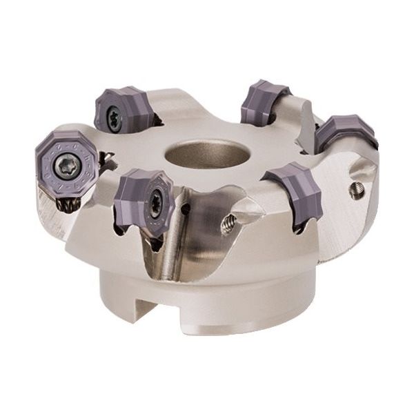 タンガロイ TAC正面フライス TASN13J125B38.1R10 1台 225-7140（直送品）