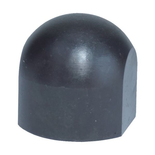 ニューストロング レストナット(Rタイプ) 12M-RN 1個 837-9269（直送品）