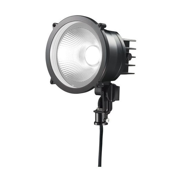 岩崎電気 小形LED投光器(丸形)昼白色タイプ，中角 E30013M/NSAN9/BK 1個（直送品）