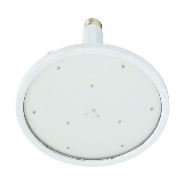 日動工業 日動 ハイスペックハイディスク125W L125B-E39-H110-50K 1台 539-0662（直送品）