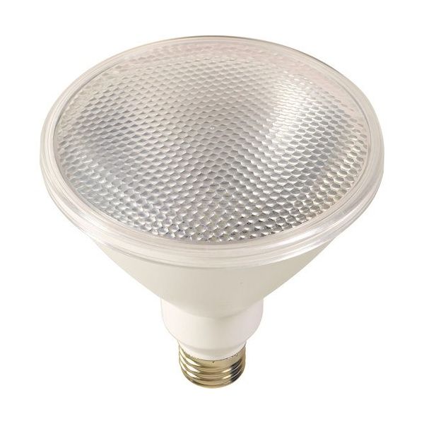 日動工業 NICHIDO エコビック20W L20W-BW-50K 1個 538-1079（直送品）