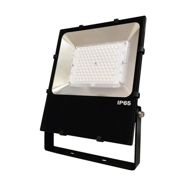 日機 屋外設置用LED投光器 100W AC100ー240V NLFL100A-AC-B06 1台 253-1600（直送品）