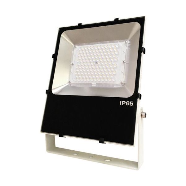 日機 屋外設置用LED投光器AC100ー240V NLFL