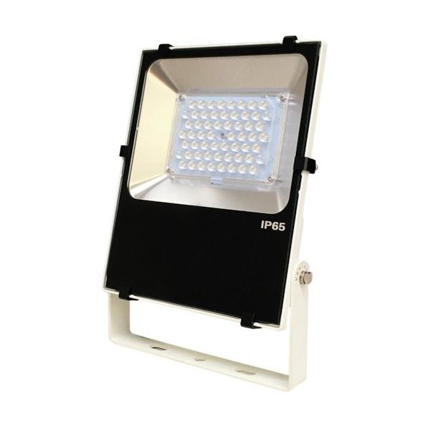 日機 屋外設置用LED投光器 50W AC100ー240V NLFL50A-AC-W06 1台 253-3143（直送品）