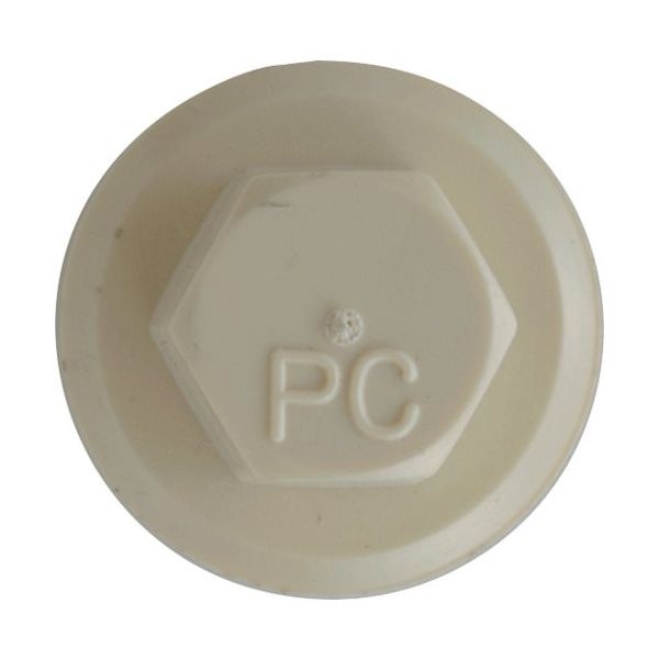 日本パワーファスニング JPF プラカラー ライトベージュ 5×45 BEー11 (300本入り) PC5X45BE-11 1箱(300本)（直送品）