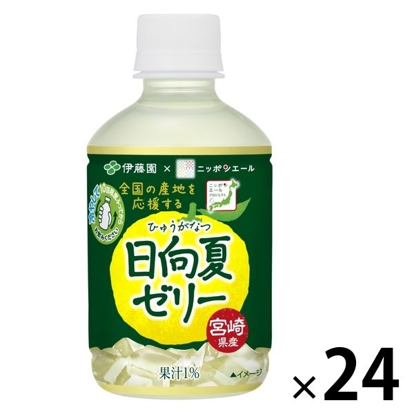 伊藤園 ニッポンエール 宮崎県産日向夏ゼリー 280g 1箱（24本入 