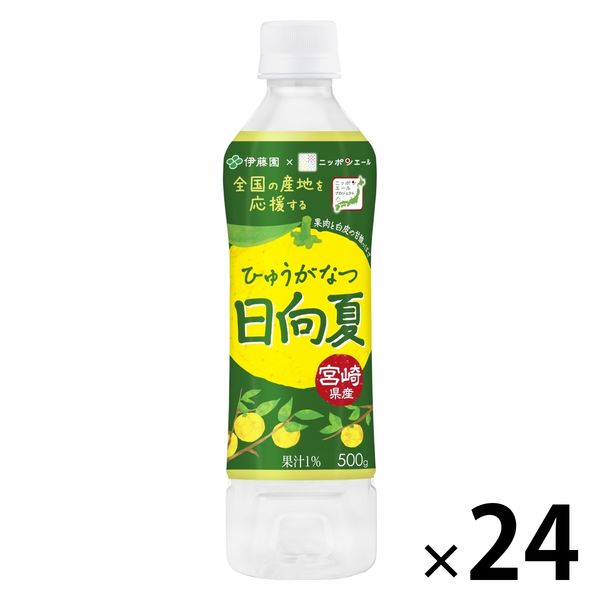 伊藤園 ニッポンエール 宮崎県産日向夏 500g 1箱（24本入）