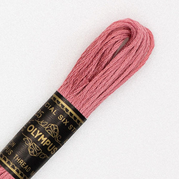 オリムパス製絲 刺繍糸 25番/8m 6綛入 COL.1704 OLY25-BOX-1704 1セット(6本入/1袋)（直送品）