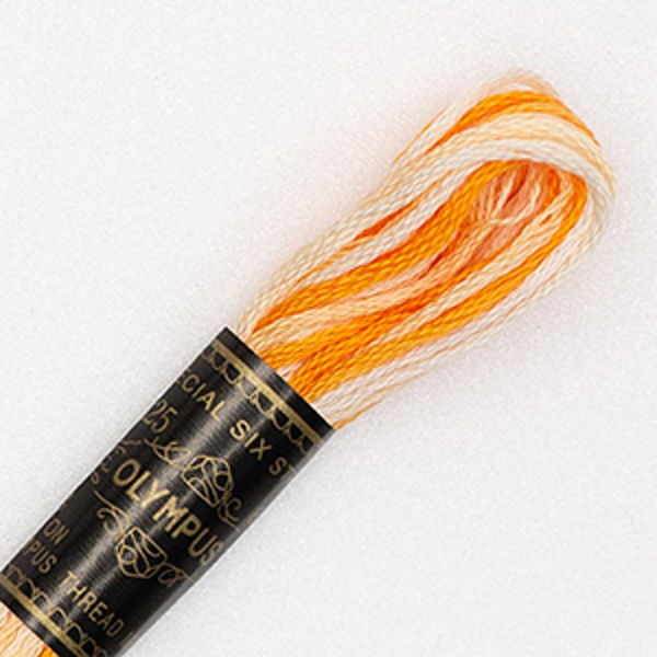 オリムパス製絲 刺繍糸 25番/8m 6綛入 COL.17 OLY25-BOX-17 1セット(6本入/1袋)（直送品）