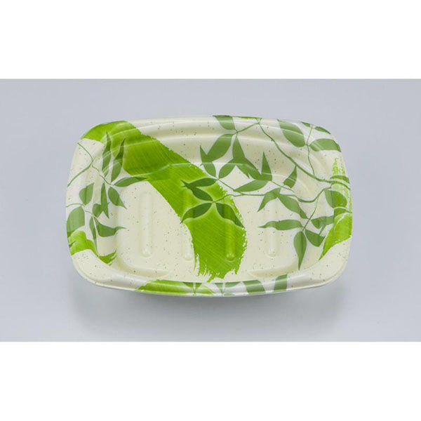 シーピー化成 惣菜容器 TNデリホカ17-13 月竹緑 本体 0250417108805 1ケース(800個(50個×16)（直送品）