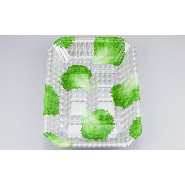 シーピー化成 発泡トレー 新L筏20-28-37 グラSL 0513202867210 1ケース(600個(50個×12)（直送品）