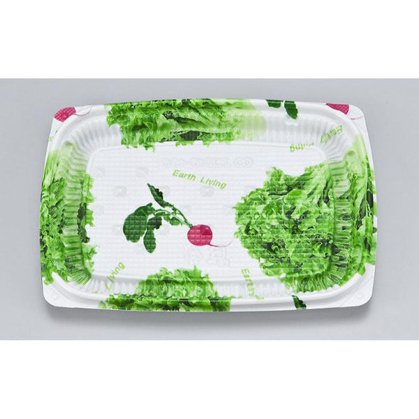 シーピー化成 惣菜容器 BFエコD18-13C サラダ 本体 0751181331895 1ケース(1200個(50個×24)（直送品）