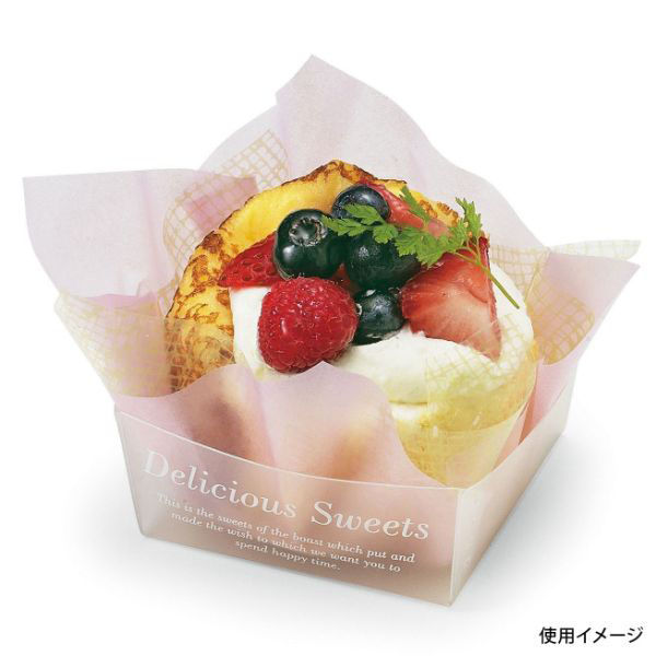 天満紙器 ケーキトレー TR9005 PPクリアトレー(デリシャススイーツ) 8936057 1ケース(1500個(50個×30)（直送品）