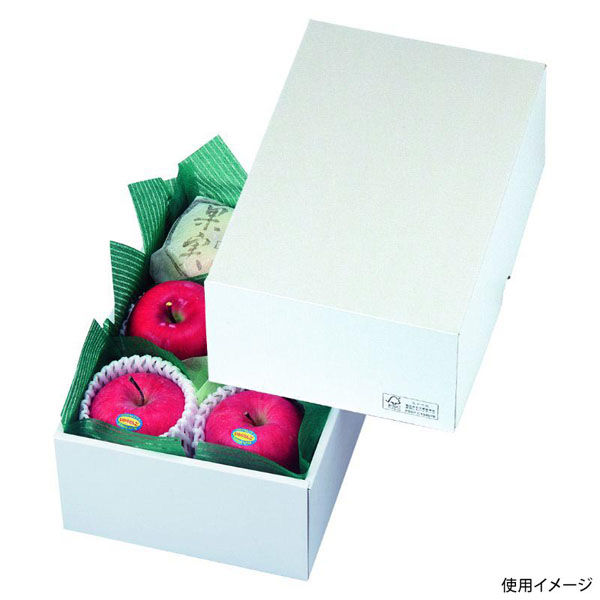 ヤマニパッケージ 贈答箱 パール11 FS LTO-11FS 1ケース(50個(25個×2)（直送品）