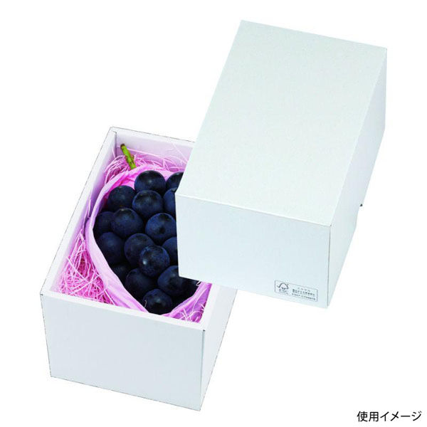 ヤマニパッケージ 贈答箱 パール16 FS LTO-16FS 1ケース(100個(25個×4)（直送品）