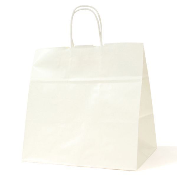 パックタケヤマ 紙手提袋 自動手提袋 HV78 晒 無地 XZT00910 1ケース(200個(50個×4)（直送品）