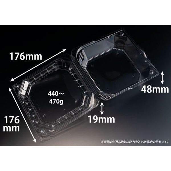 リスパック フルーツ容器 バイオ きらめき 18-18L(60) PBTV713 1袋(25個)（直送品）