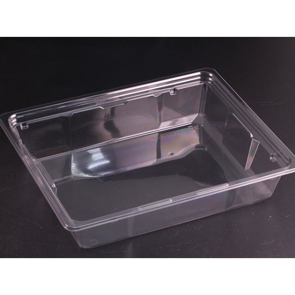 リスパック サラダ容器 バイオカップ キューブNK 50-52B PABK519 1ケース(300個(50個×6)（直送品）