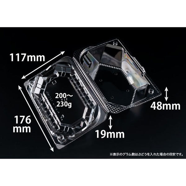 リスパック フルーツ容器 バイオ きらめき 18-12S(60) PBTV493 1ケース(400個(50個×8)（直送品）