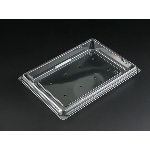 リスパック サラダ容器 バイオカップ キューブ H 21BF 穴8H PABK578 1袋(50個)（直送品）