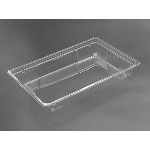 リスパック サラダ容器 バイオカップ キューブNK 60-45B PABK535 1袋(25個)（直送品）