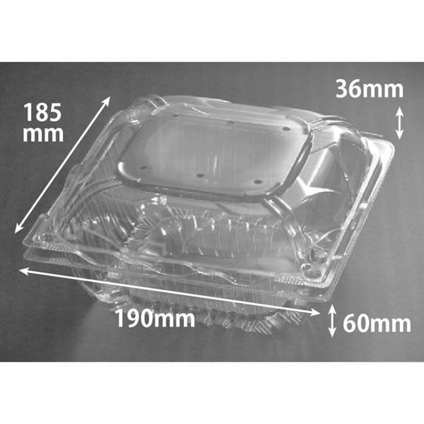 リスパック フルーツ容器 バイオ とれたて 19-19(89) PBTT891 1袋(25個)（直送品）