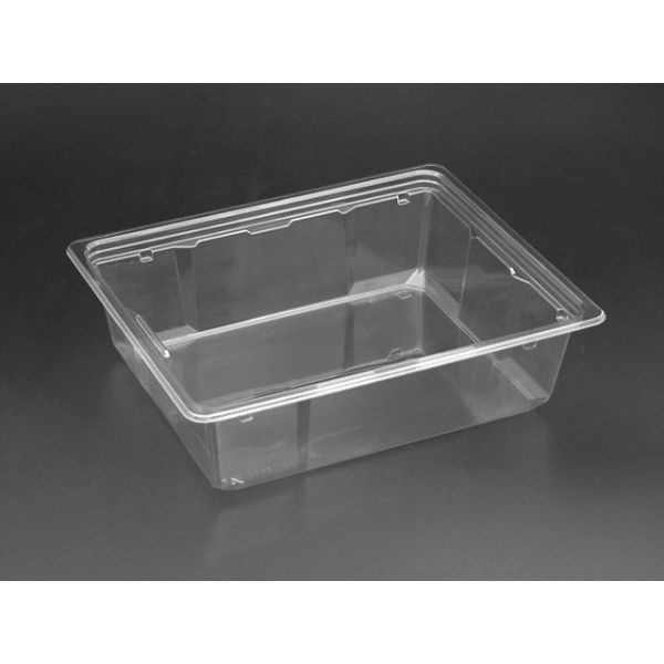 リスパック サラダ容器 バイオカップ キューブNK 50-70B PABK521 1袋(50個)（直送品）