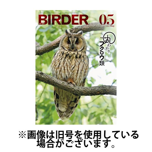 BIRDER（バーダー） 2024/07/16発売号から1年(12冊)（直送品） - アスクル