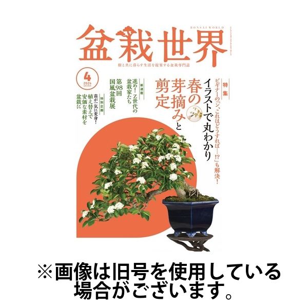 盆栽世界 2024/07/04発売号から1年(12冊)（直送品）
