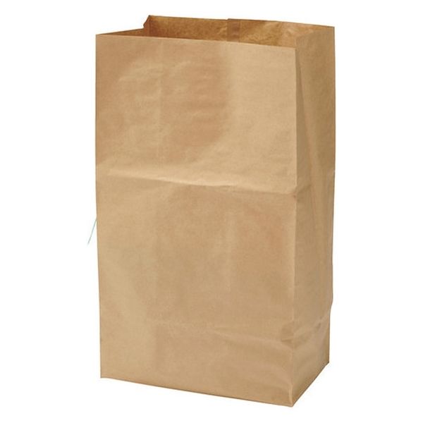 【新品】（まとめ）クラフトマン特大紙製ゴミ袋（ヒモ付き片貼り）クラフト HKT-058 1パック（3枚）【×20セット】