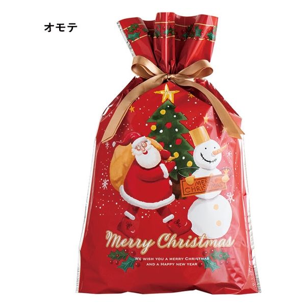 ヘッズ 愉快なクリスマスリボン付PPギフトバッグ-M XPL-RBM 1