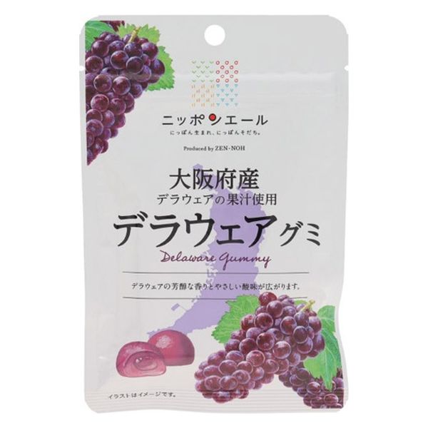 全国農協食品 大阪府産デラウェアグミ 4908012001625 1セット(40g×20個)（直送品）