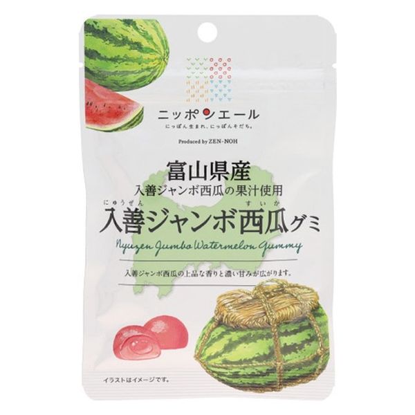 全国農協食品 NY富山県入善ジャンボ西瓜グミ 4908012003094 1セット(40g×20個)（直送品）