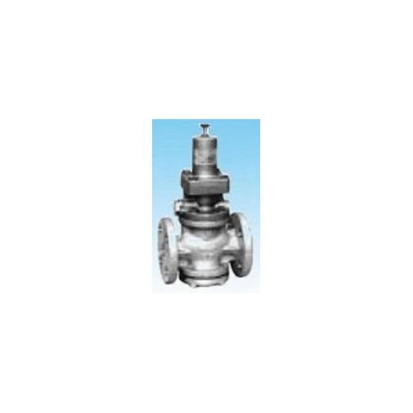 ヨシタケ SCS減圧弁(フランジ・気体) GP-1000TAS-32A 1個 64-4023-04（直送品）