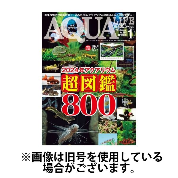 アクアライフ 2024/04/11発売号から1年(12冊)（直送品） - アスクル
