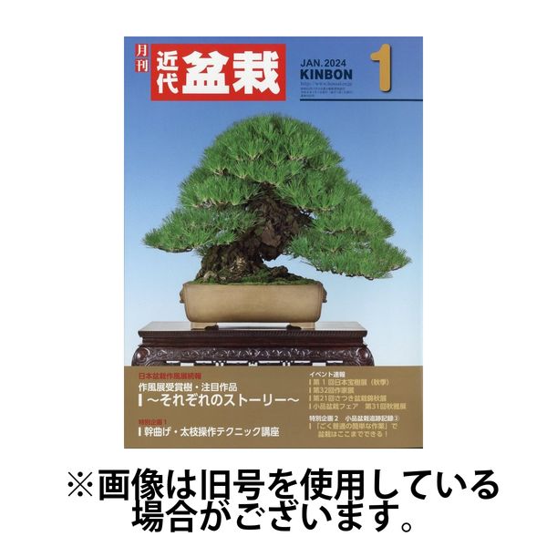 月刊 近代盆栽 2024/03/05発売号から1年(12冊)（直送品）